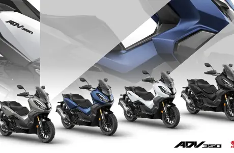 Nouveaux coloris pour  les Honda ADV350, Forza 125 et 350 en 2024